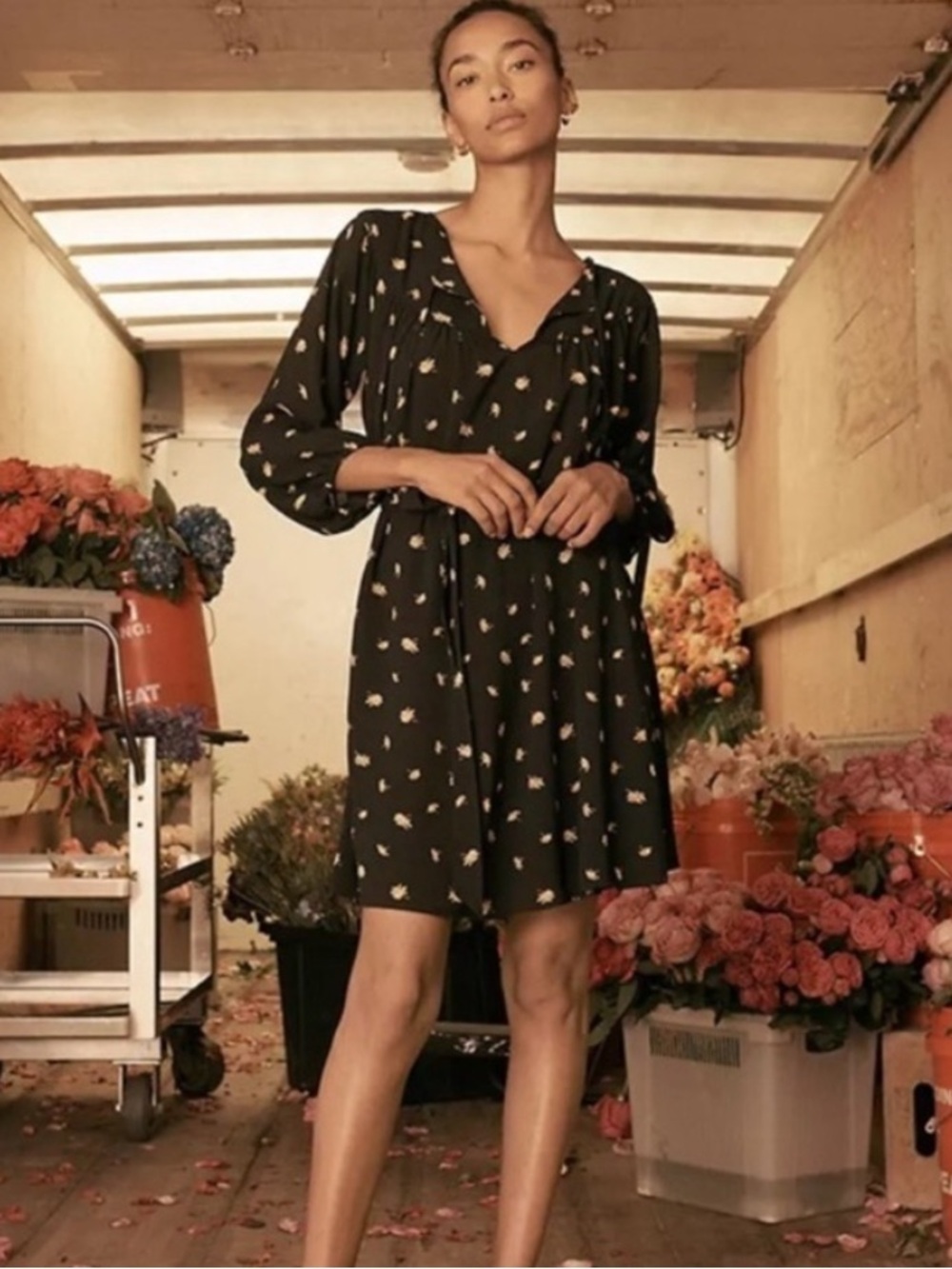 Madewell Tie-Waist French Daisies‎ Mini Dress